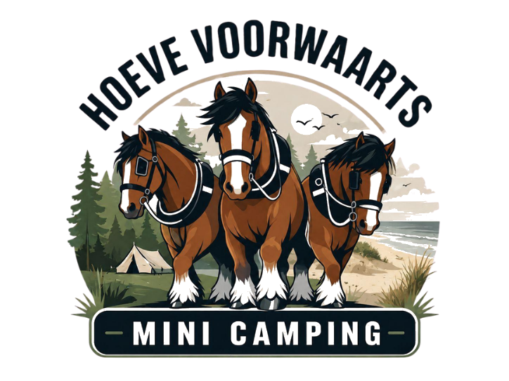 Hoeve Voorwaarts Mini Camping